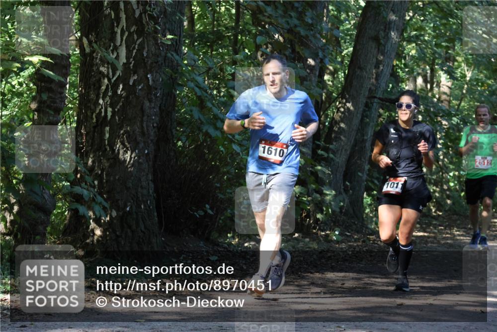 28.09.2025 - 33. Volkslauf durch das schöne Alstertal Strokosch-Dieckow http://msf.ph/oto/8970451 28.09.2025 11:52:22 Laufen 1610, 1011, 2512 meine-sportfotos.de