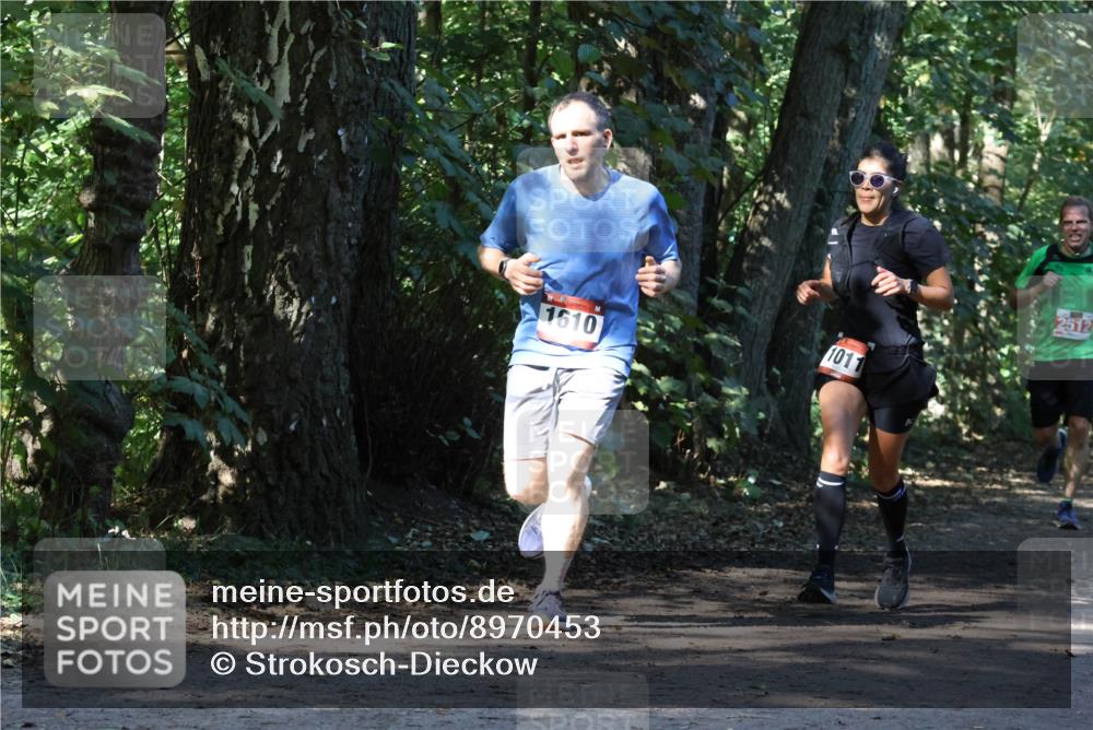 28.09.2025 - 33. Volkslauf durch das schöne Alstertal Strokosch-Dieckow http://msf.ph/oto/8970453 28.09.2025 11:52:23 Laufen 1610, 1011, 2512 meine-sportfotos.de