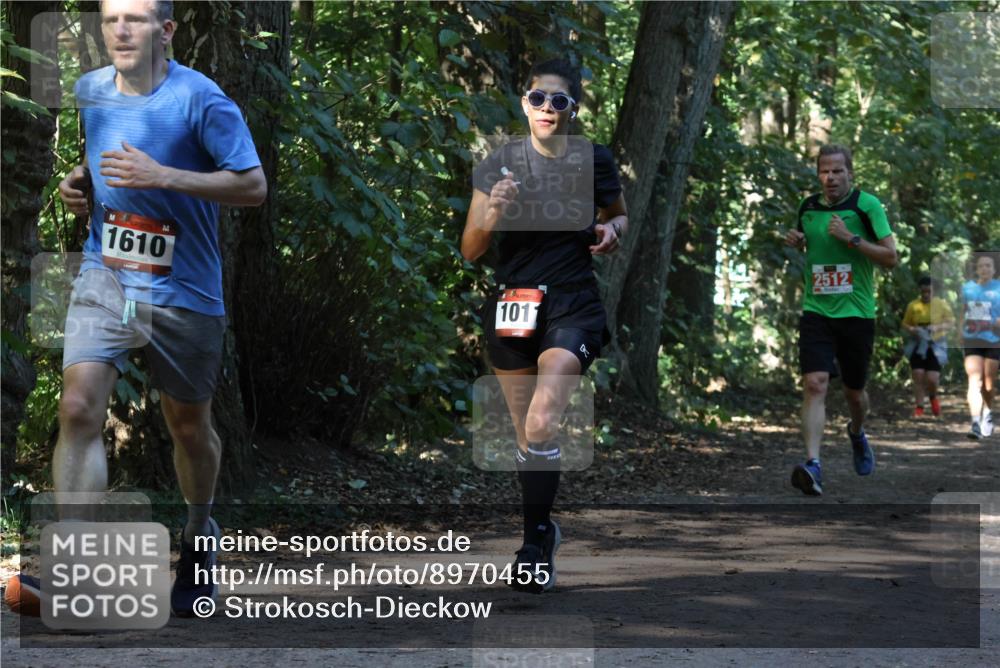 28.09.2025 - 33. Volkslauf durch das schöne Alstertal Strokosch-Dieckow http://msf.ph/oto/8970455 28.09.2025 11:52:23 Laufen 1610, 1011, 2512 meine-sportfotos.de