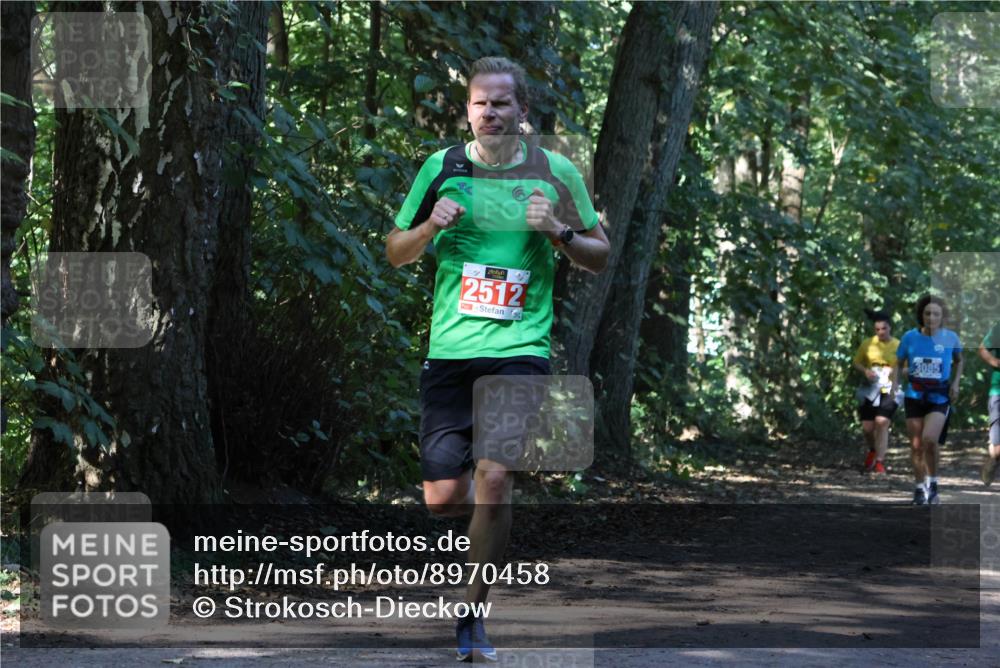 28.09.2025 - 33. Volkslauf durch das schöne Alstertal Strokosch-Dieckow http://msf.ph/oto/8970458 28.09.2025 11:52:26 Laufen 2512, 3085 meine-sportfotos.de