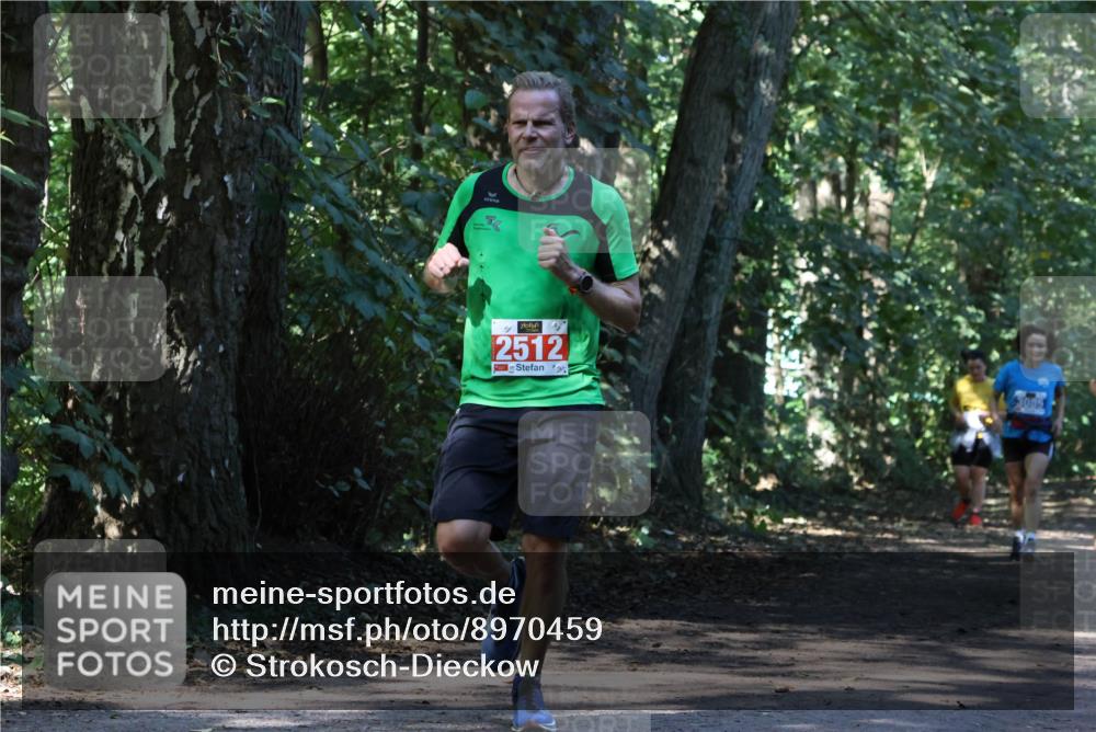 28.09.2025 - 33. Volkslauf durch das schöne Alstertal Strokosch-Dieckow http://msf.ph/oto/8970459 28.09.2025 11:52:26 Laufen 4, 2512, 3005 meine-sportfotos.de
