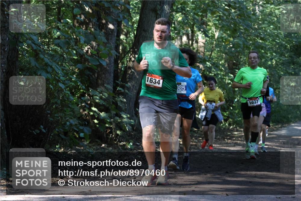 28.09.2025 - 33. Volkslauf durch das schöne Alstertal Strokosch-Dieckow http://msf.ph/oto/8970460 28.09.2025 11:52:32 Laufen 1634, 085, 1637 meine-sportfotos.de