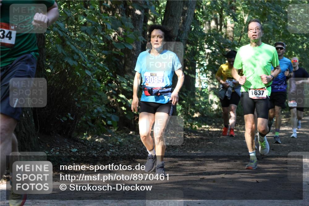 28.09.2025 - 33. Volkslauf durch das schöne Alstertal Strokosch-Dieckow http://msf.ph/oto/8970461 28.09.2025 11:52:34 Laufen 34, 3085, 1637, 1698 meine-sportfotos.de