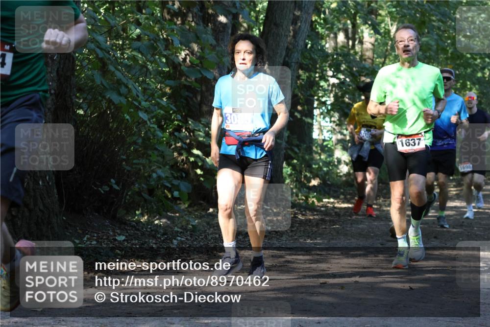 28.09.2025 - 33. Volkslauf durch das schöne Alstertal Strokosch-Dieckow http://msf.ph/oto/8970462 28.09.2025 11:52:34 Laufen 3085, 308, 1637, 1698 meine-sportfotos.de