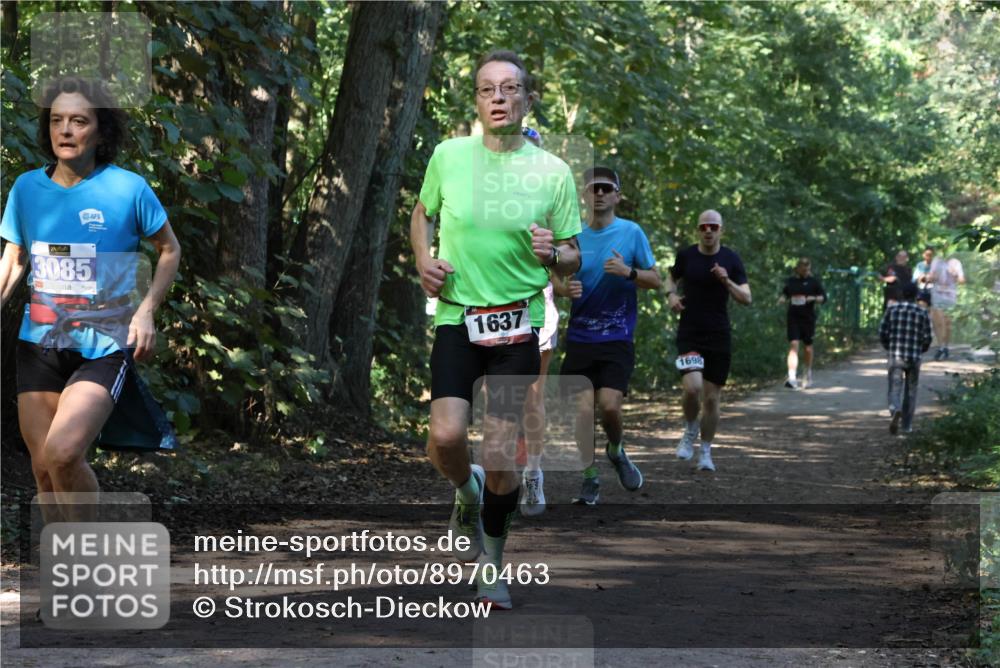 28.09.2025 - 33. Volkslauf durch das schöne Alstertal Strokosch-Dieckow http://msf.ph/oto/8970463 28.09.2025 11:52:35 Laufen 3085, 1637, 1698 meine-sportfotos.de