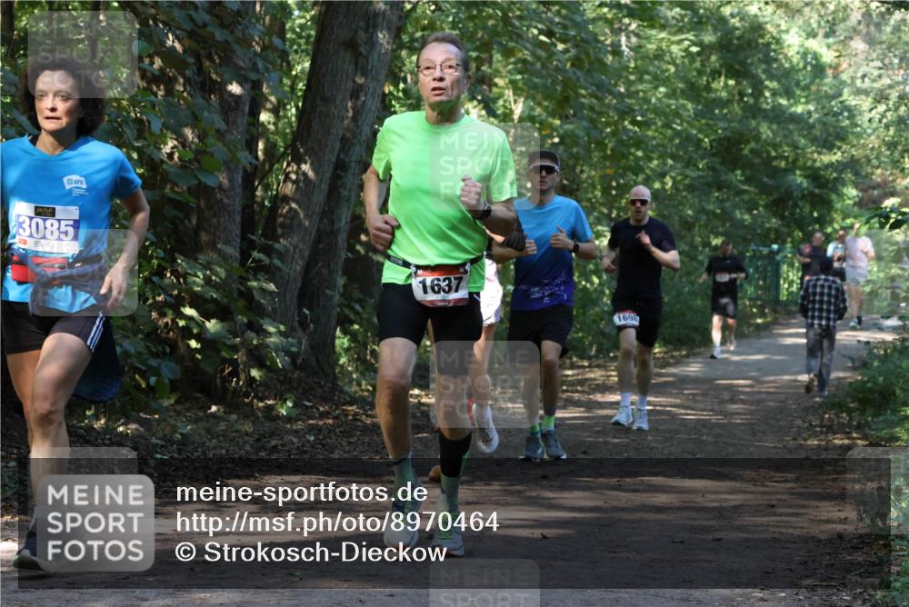 28.09.2025 - 33. Volkslauf durch das schöne Alstertal Strokosch-Dieckow http://msf.ph/oto/8970464 28.09.2025 11:52:35 Laufen 3085, 1637, 169 meine-sportfotos.de