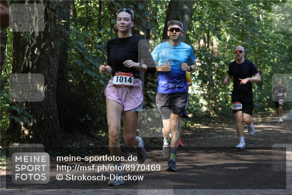 28.09.2025 - 33. Volkslauf durch das schöne Alstertal Strokosch-Dieckow http://msf.ph/oto/8970469 28.09.2025 11:52:37 Laufen 1014, 1698 meine-sportfotos.de