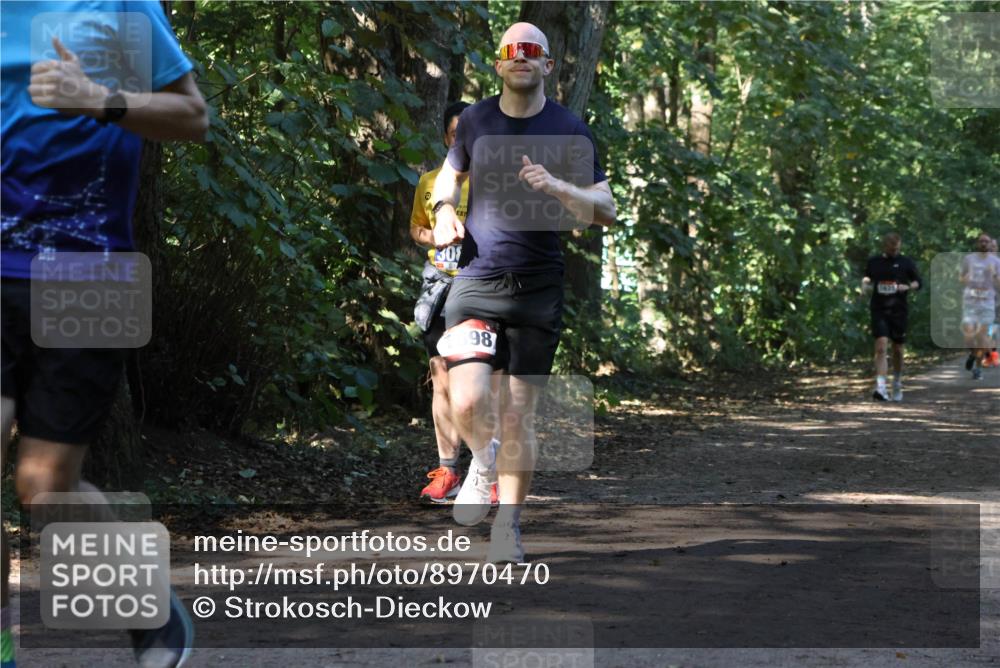 28.09.2025 - 33. Volkslauf durch das schöne Alstertal Strokosch-Dieckow http://msf.ph/oto/8970470 28.09.2025 11:52:39 Laufen 30, 98 meine-sportfotos.de
