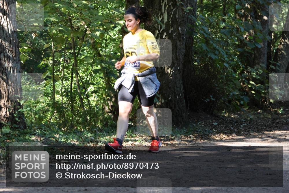 28.09.2025 - 33. Volkslauf durch das schöne Alstertal Strokosch-Dieckow http://msf.ph/oto/8970473 28.09.2025 11:52:42 Laufen 2024, 3034 meine-sportfotos.de
