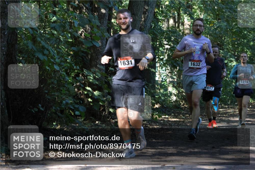 28.09.2025 - 33. Volkslauf durch das schöne Alstertal Strokosch-Dieckow http://msf.ph/oto/8970475 28.09.2025 11:52:49 Laufen 1631, 1632, 647, 1119 meine-sportfotos.de