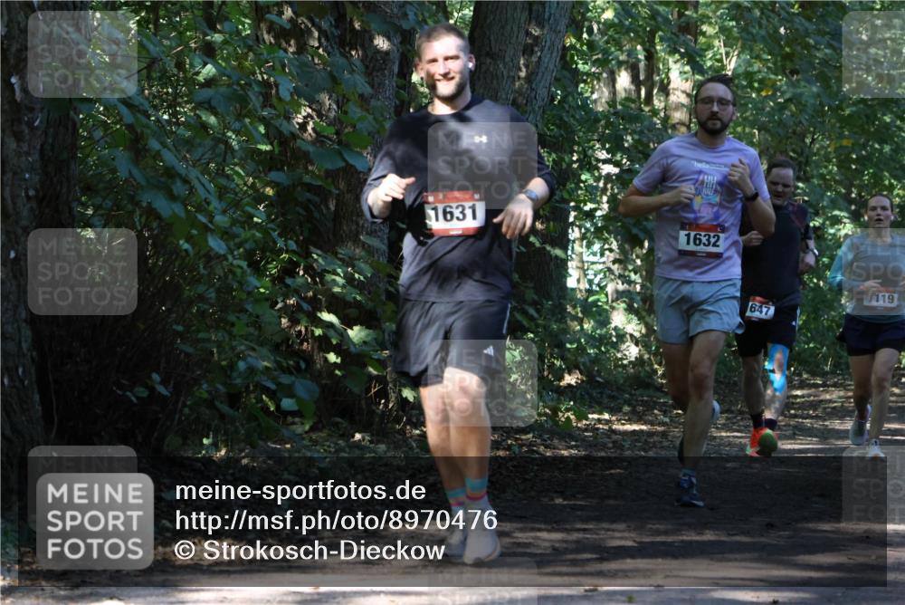 28.09.2025 - 33. Volkslauf durch das schöne Alstertal Strokosch-Dieckow http://msf.ph/oto/8970476 28.09.2025 11:52:49 Laufen 1631, 47, 1632, 1119, 647 meine-sportfotos.de