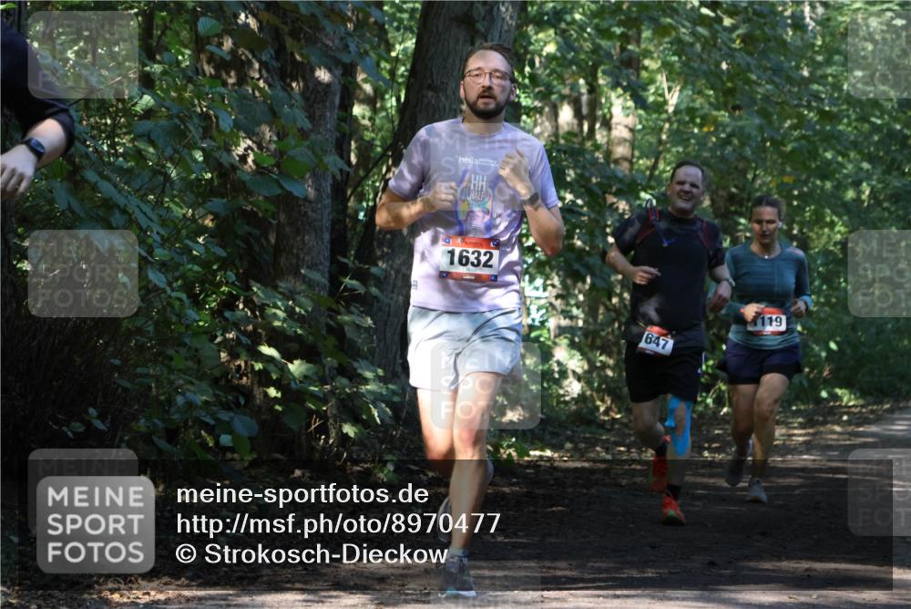28.09.2025 - 33. Volkslauf durch das schöne Alstertal Strokosch-Dieckow http://msf.ph/oto/8970477 28.09.2025 11:52:50 Laufen 1632, 119, 647 meine-sportfotos.de