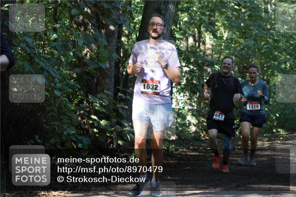 28.09.2025 - 33. Volkslauf durch das schöne Alstertal Strokosch-Dieckow http://msf.ph/oto/8970479 28.09.2025 11:52:50 Laufen 1632, 647, 1119 meine-sportfotos.de
