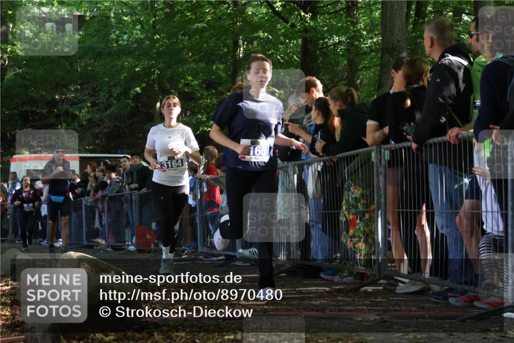 28.09.2025 - 33. Volkslauf durch das schöne Alstertal Strokosch-Dieckow http://msf.ph/oto/8970480 28.09.2025 11:51:48 Ziel 1602, 2651, 3137, 3164, 3165, 3336 meine-sportfotos.de