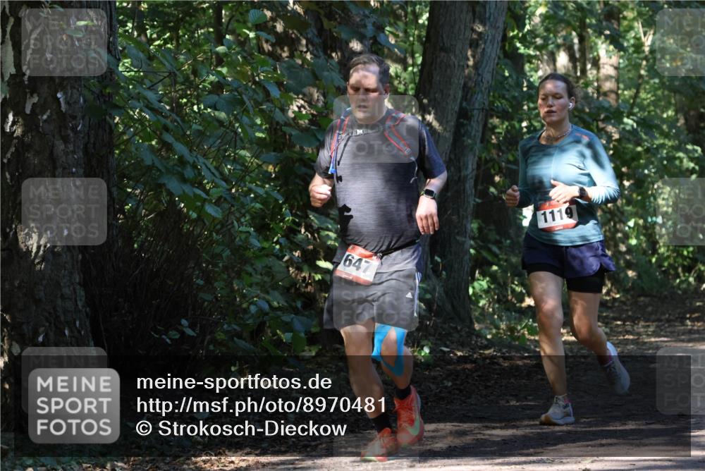 28.09.2025 - 33. Volkslauf durch das schöne Alstertal Strokosch-Dieckow http://msf.ph/oto/8970481 28.09.2025 11:52:53 Laufen 647, 1119 meine-sportfotos.de