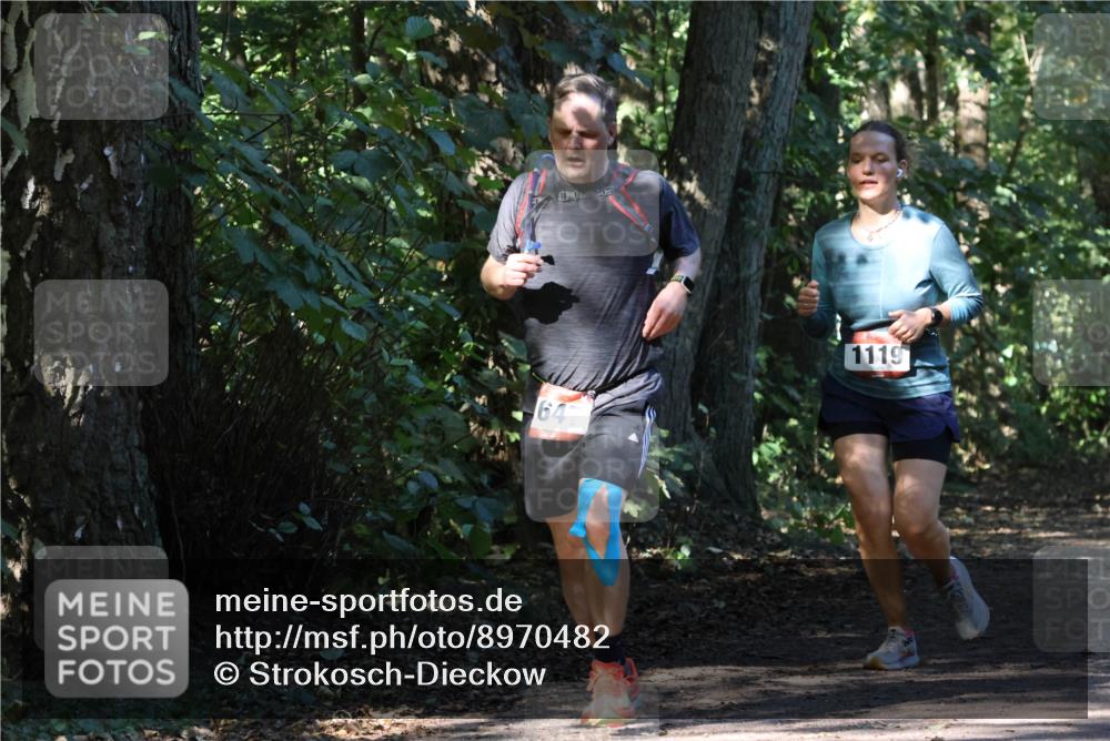 28.09.2025 - 33. Volkslauf durch das schöne Alstertal Strokosch-Dieckow http://msf.ph/oto/8970482 28.09.2025 11:52:53 Laufen 647, 1119 meine-sportfotos.de