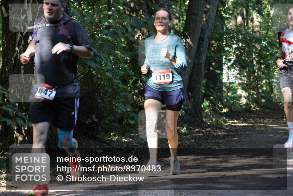 28.09.2025 - 33. Volkslauf durch das schöne Alstertal Strokosch-Dieckow http://msf.ph/oto/8970483 28.09.2025 11:52:54 Laufen 647, 1119, 26 meine-sportfotos.de
