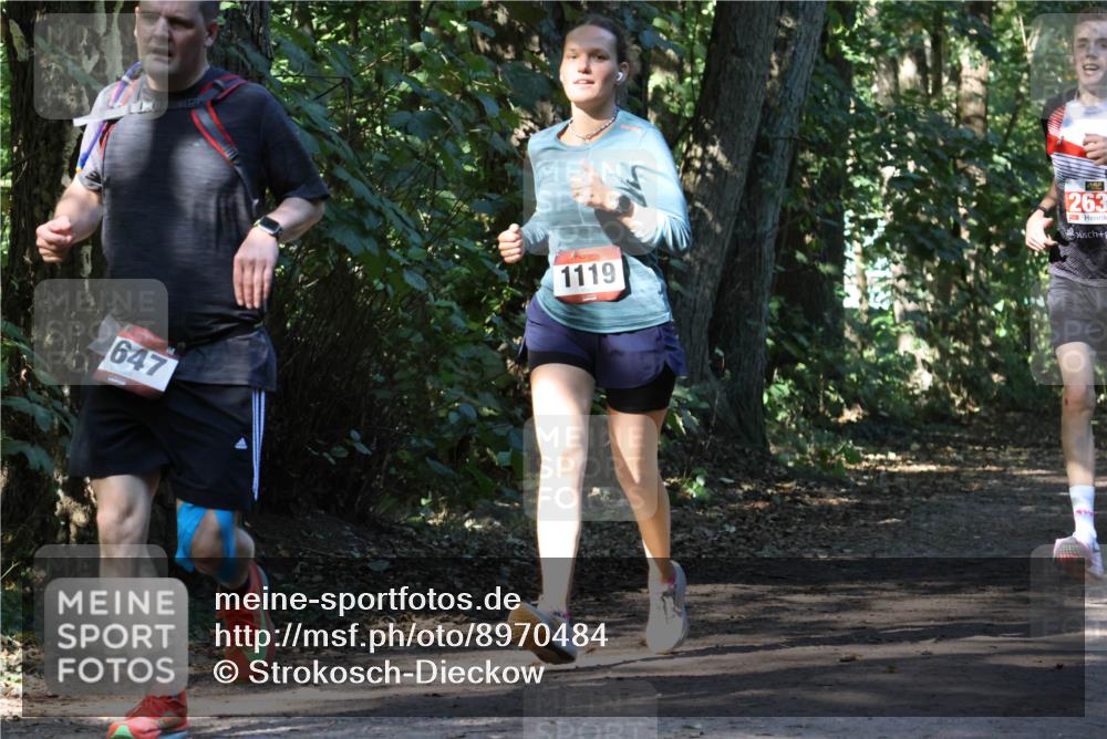 28.09.2025 - 33. Volkslauf durch das schöne Alstertal Strokosch-Dieckow http://msf.ph/oto/8970484 28.09.2025 11:52:54 Laufen 647, 1119, 263 meine-sportfotos.de