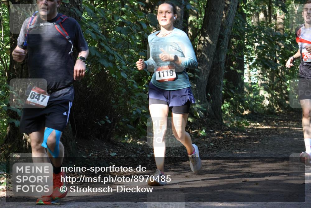 28.09.2025 - 33. Volkslauf durch das schöne Alstertal Strokosch-Dieckow http://msf.ph/oto/8970485 28.09.2025 11:52:54 Laufen 647, 1119, 26 meine-sportfotos.de