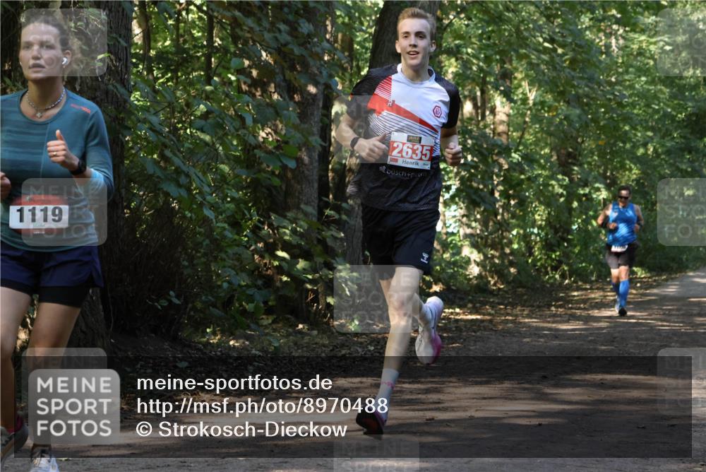 28.09.2025 - 33. Volkslauf durch das schöne Alstertal Strokosch-Dieckow http://msf.ph/oto/8970488 28.09.2025 11:52:55 Laufen 1119, 2635 meine-sportfotos.de