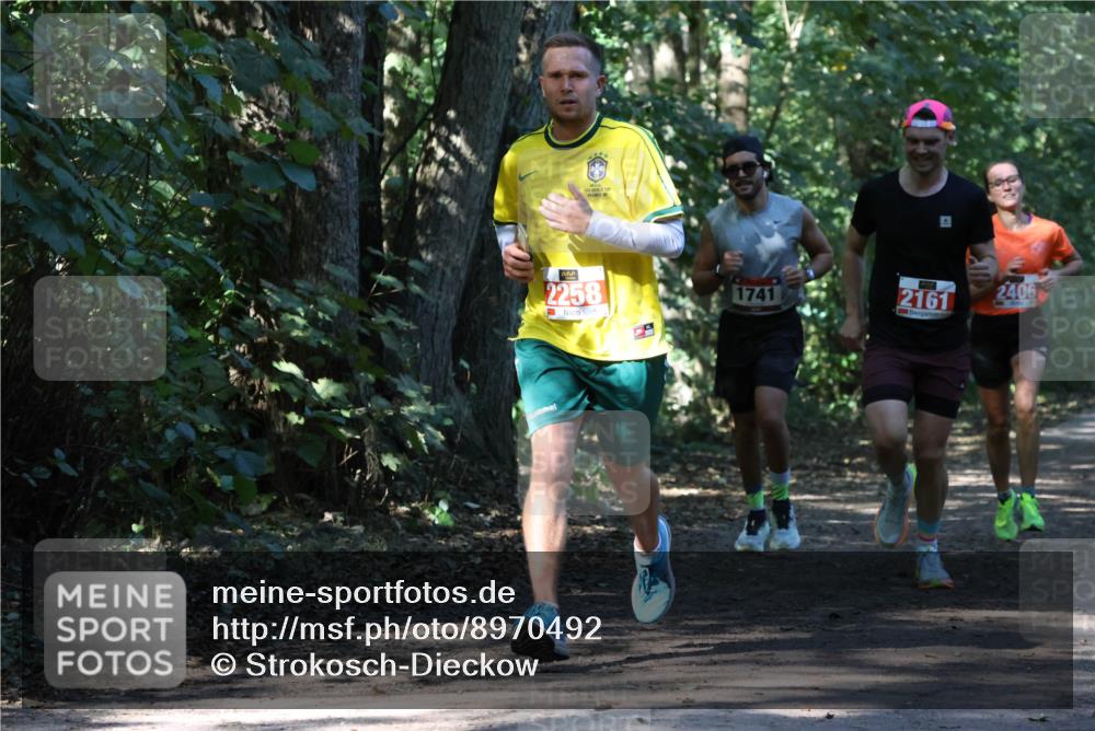 28.09.2025 - 33. Volkslauf durch das schöne Alstertal Strokosch-Dieckow http://msf.ph/oto/8970492 28.09.2025 11:53:12 Laufen 2258, 1741, 2406, 2161 meine-sportfotos.de