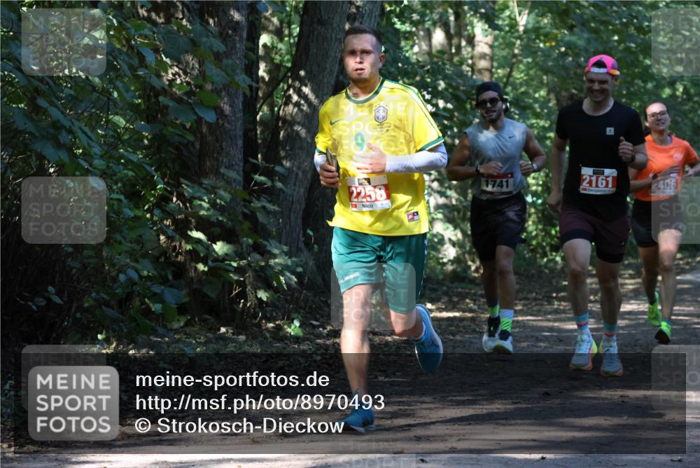 28.09.2025 - 33. Volkslauf durch das schöne Alstertal Strokosch-Dieckow http://msf.ph/oto/8970493 28.09.2025 11:53:12 Laufen 9, 2258, 1741, 2161, 406 meine-sportfotos.de