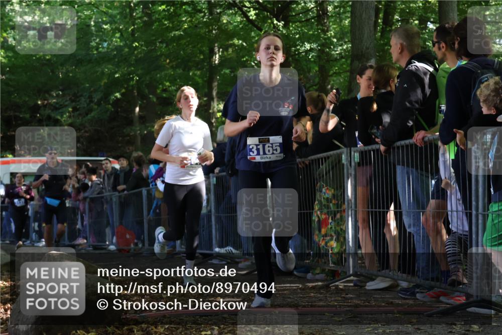 28.09.2025 - 33. Volkslauf durch das schöne Alstertal Strokosch-Dieckow http://msf.ph/oto/8970494 28.09.2025 11:51:49 Ziel 1602, 2651, 3137, 3164, 3165 meine-sportfotos.de