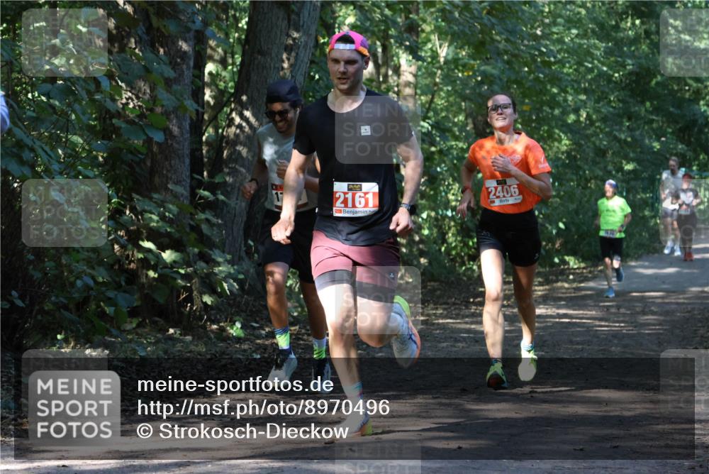28.09.2025 - 33. Volkslauf durch das schöne Alstertal Strokosch-Dieckow http://msf.ph/oto/8970496 28.09.2025 11:53:14 Laufen 2161, 2406 meine-sportfotos.de