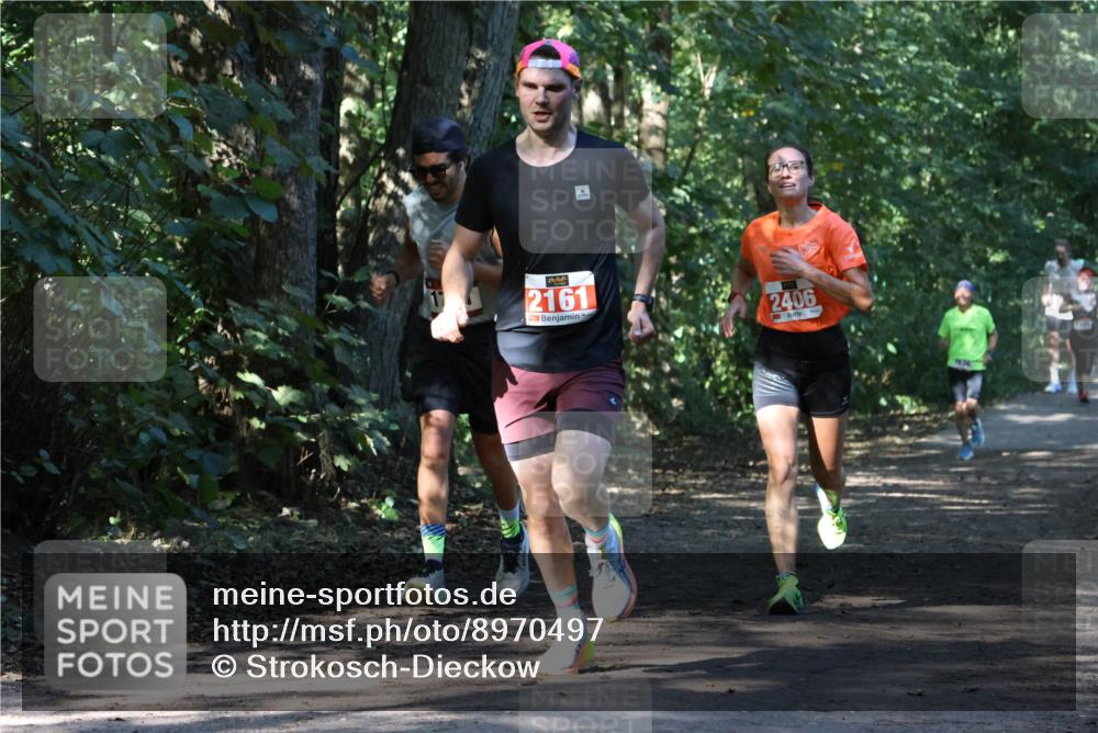 28.09.2025 - 33. Volkslauf durch das schöne Alstertal Strokosch-Dieckow http://msf.ph/oto/8970497 28.09.2025 11:53:14 Laufen 2161, 2406 meine-sportfotos.de