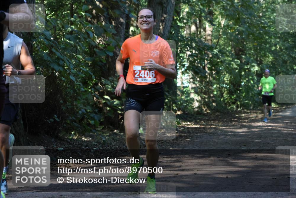28.09.2025 - 33. Volkslauf durch das schöne Alstertal Strokosch-Dieckow http://msf.ph/oto/8970500 28.09.2025 11:53:15 Laufen 2406 meine-sportfotos.de