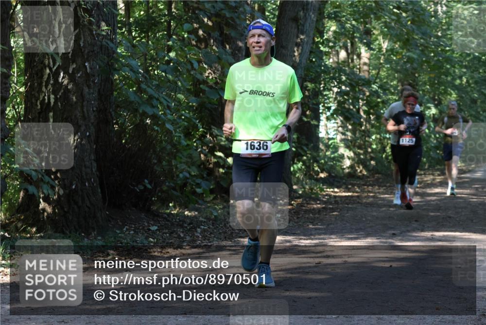 28.09.2025 - 33. Volkslauf durch das schöne Alstertal Strokosch-Dieckow http://msf.ph/oto/8970501 28.09.2025 11:53:25 Laufen 1636, 1125 meine-sportfotos.de