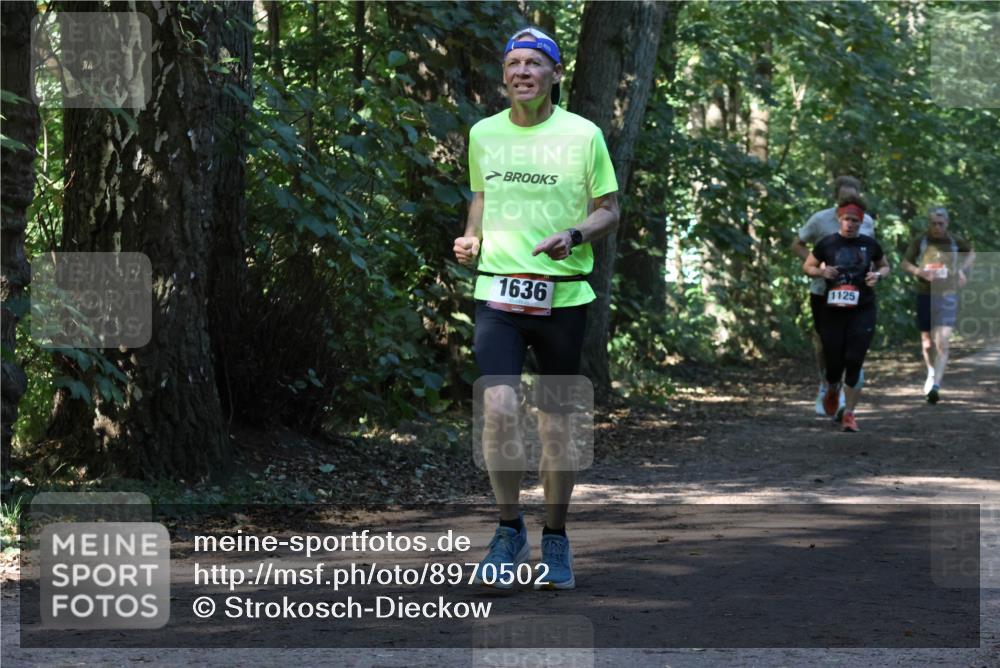 28.09.2025 - 33. Volkslauf durch das schöne Alstertal Strokosch-Dieckow http://msf.ph/oto/8970502 28.09.2025 11:53:25 Laufen 1636, 1125 meine-sportfotos.de