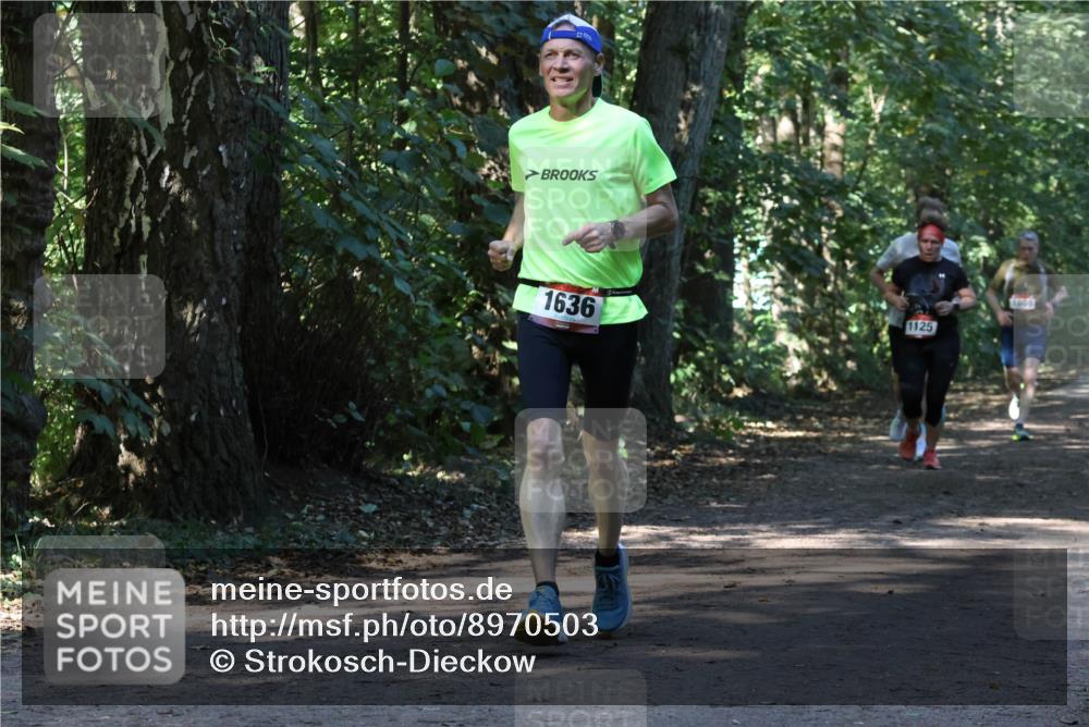 28.09.2025 - 33. Volkslauf durch das schöne Alstertal Strokosch-Dieckow http://msf.ph/oto/8970503 28.09.2025 11:53:25 Laufen 1636, 1125 meine-sportfotos.de