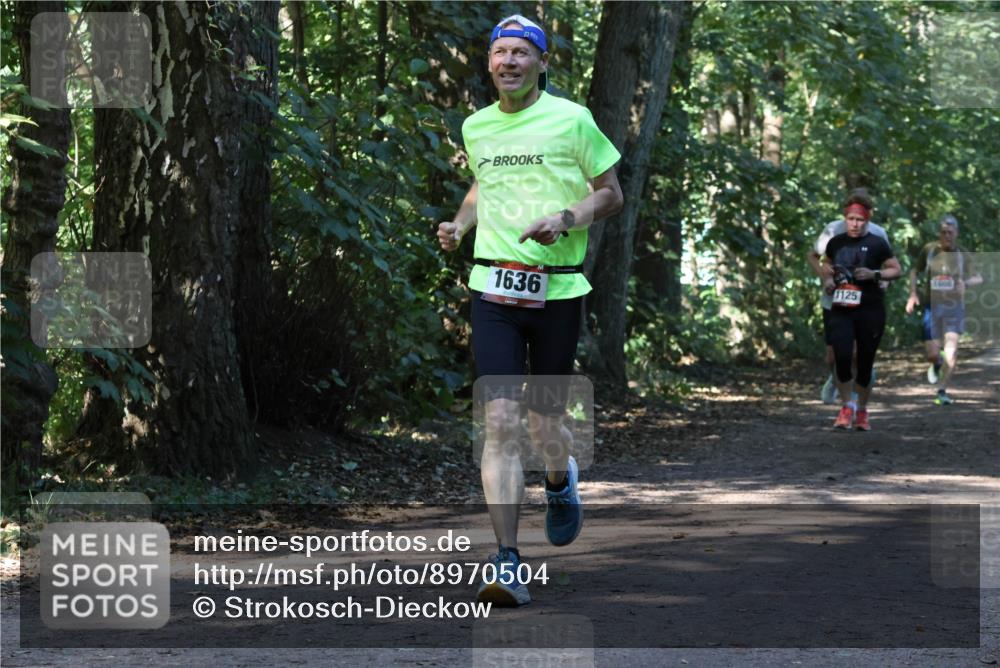 28.09.2025 - 33. Volkslauf durch das schöne Alstertal Strokosch-Dieckow http://msf.ph/oto/8970504 28.09.2025 11:53:25 Laufen 1636, 1125 meine-sportfotos.de