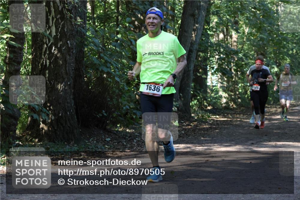 28.09.2025 - 33. Volkslauf durch das schöne Alstertal Strokosch-Dieckow http://msf.ph/oto/8970505 28.09.2025 11:53:25 Laufen 1636, 1125, 1600 meine-sportfotos.de