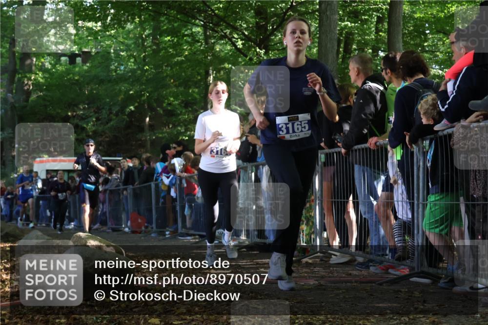 28.09.2025 - 33. Volkslauf durch das schöne Alstertal Strokosch-Dieckow http://msf.ph/oto/8970507 28.09.2025 11:51:49 Ziel 1602, 2651, 3137, 3164, 3165 meine-sportfotos.de