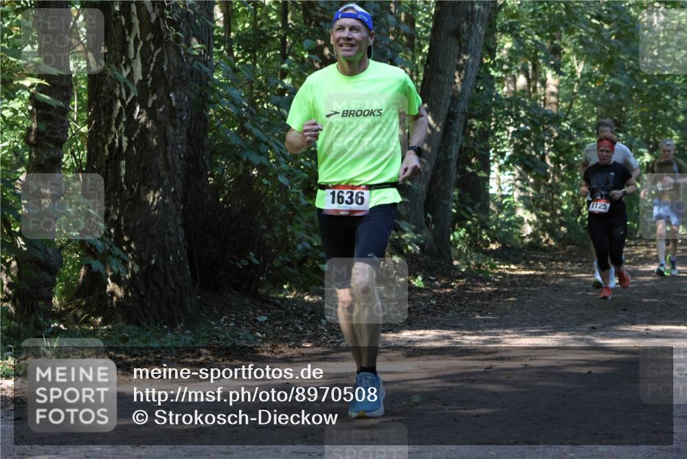 28.09.2025 - 33. Volkslauf durch das schöne Alstertal Strokosch-Dieckow http://msf.ph/oto/8970508 28.09.2025 11:53:25 Laufen 1636, 1125 meine-sportfotos.de