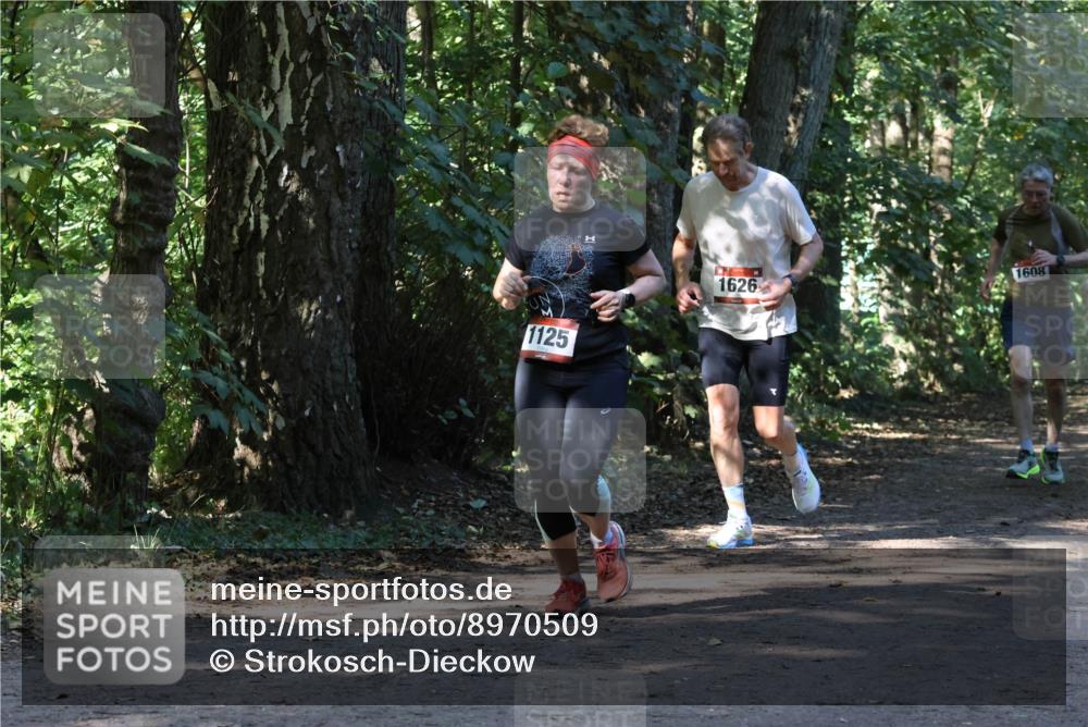 28.09.2025 - 33. Volkslauf durch das schöne Alstertal Strokosch-Dieckow http://msf.ph/oto/8970509 28.09.2025 11:53:29 Laufen 1125, 1626, 1608 meine-sportfotos.de
