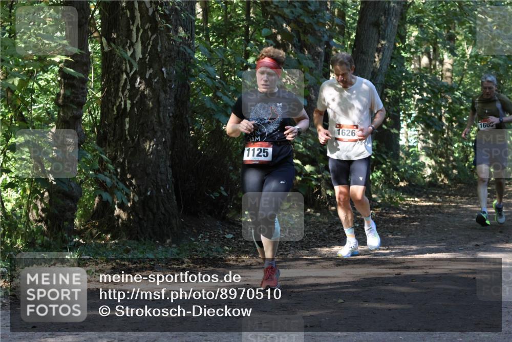 28.09.2025 - 33. Volkslauf durch das schöne Alstertal Strokosch-Dieckow http://msf.ph/oto/8970510 28.09.2025 11:53:29 Laufen 1125, 1626, 160 meine-sportfotos.de