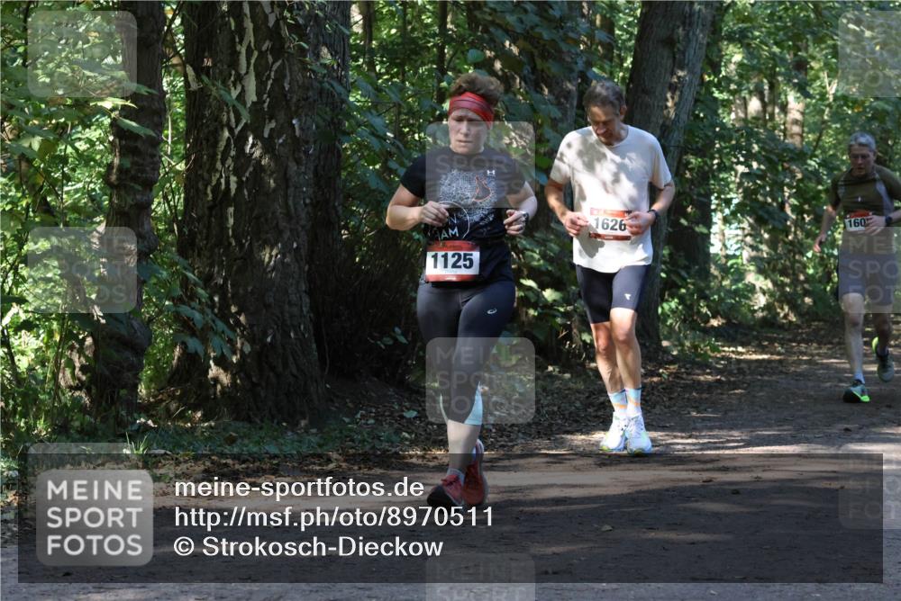 28.09.2025 - 33. Volkslauf durch das schöne Alstertal Strokosch-Dieckow http://msf.ph/oto/8970511 28.09.2025 11:53:29 Laufen 1125, 1626, 160 meine-sportfotos.de