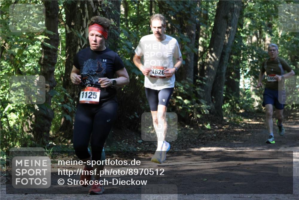 28.09.2025 - 33. Volkslauf durch das schöne Alstertal Strokosch-Dieckow http://msf.ph/oto/8970512 28.09.2025 11:53:30 Laufen 1125, 1626, 160 meine-sportfotos.de