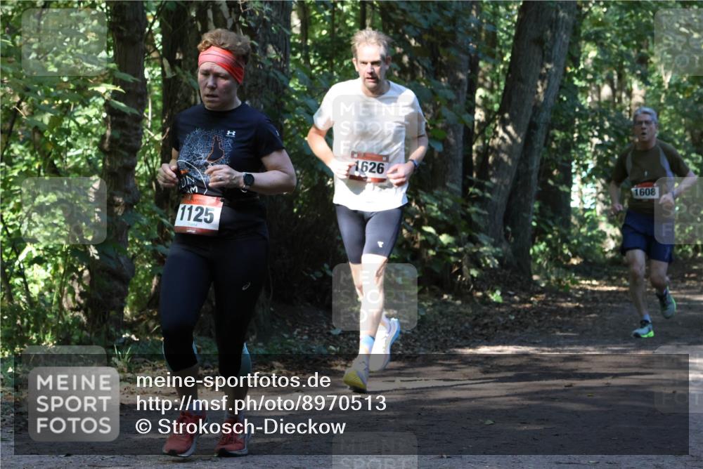 28.09.2025 - 33. Volkslauf durch das schöne Alstertal Strokosch-Dieckow http://msf.ph/oto/8970513 28.09.2025 11:53:30 Laufen 1125, 1626, 1608 meine-sportfotos.de