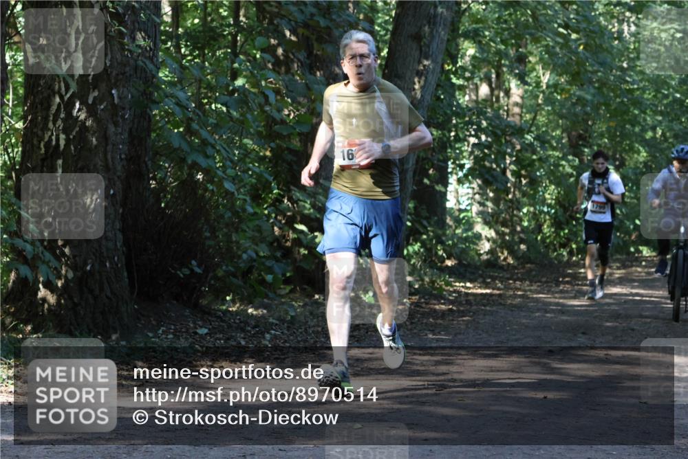 28.09.2025 - 33. Volkslauf durch das schöne Alstertal Strokosch-Dieckow http://msf.ph/oto/8970514 28.09.2025 11:53:32 Laufen 16, 1799 meine-sportfotos.de