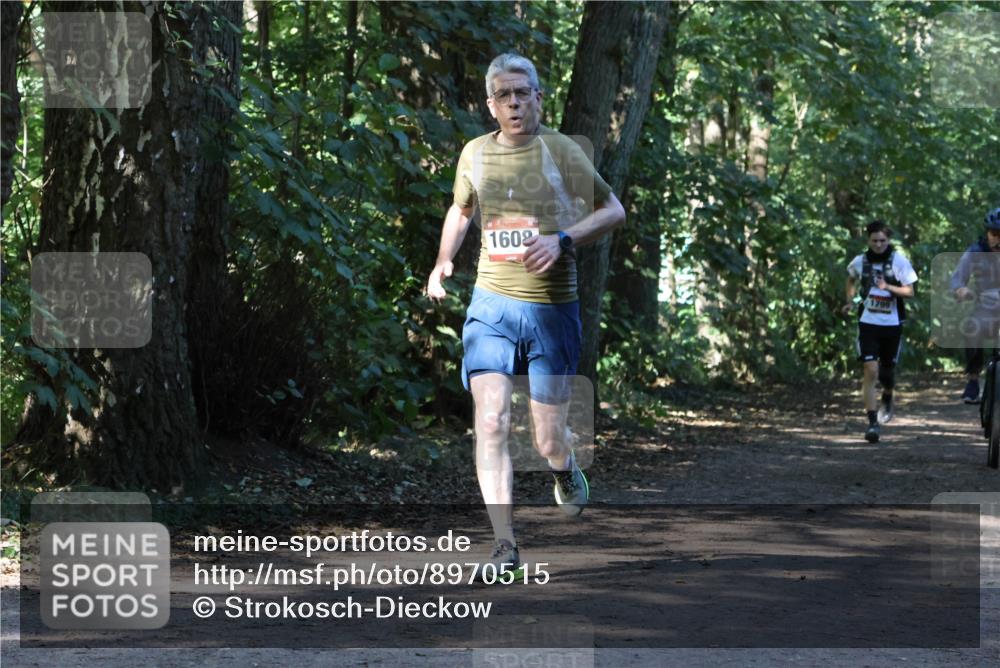 28.09.2025 - 33. Volkslauf durch das schöne Alstertal Strokosch-Dieckow http://msf.ph/oto/8970515 28.09.2025 11:53:32 Laufen 1602, 1799 meine-sportfotos.de