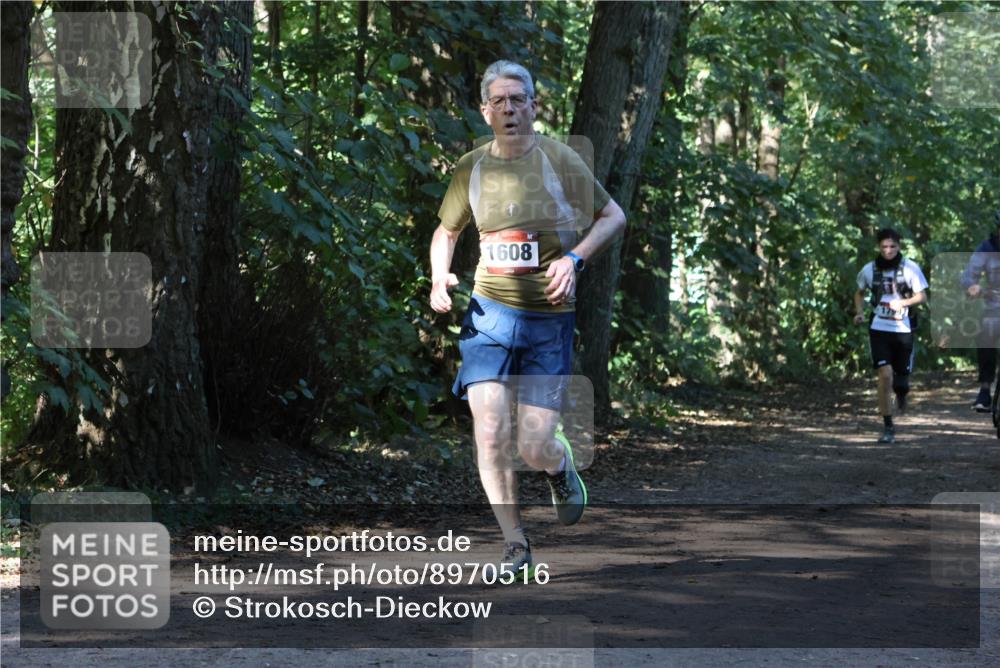 28.09.2025 - 33. Volkslauf durch das schöne Alstertal Strokosch-Dieckow http://msf.ph/oto/8970516 28.09.2025 11:53:32 Laufen 1608 meine-sportfotos.de