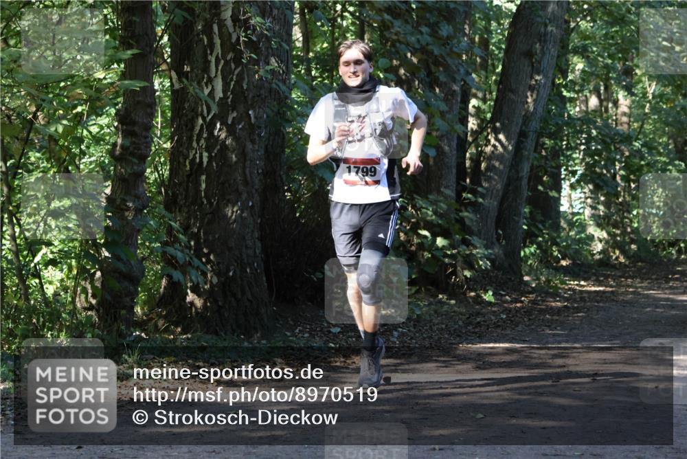 28.09.2025 - 33. Volkslauf durch das schöne Alstertal Strokosch-Dieckow http://msf.ph/oto/8970519 28.09.2025 11:53:39 Laufen 1799 meine-sportfotos.de