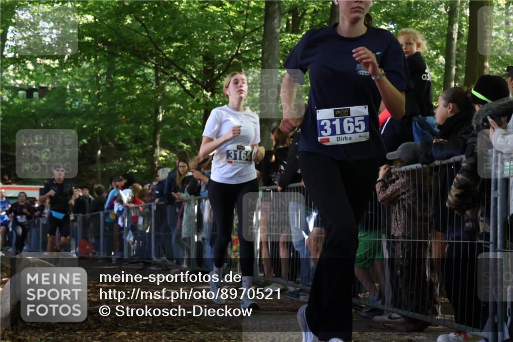 28.09.2025 - 33. Volkslauf durch das schöne Alstertal Strokosch-Dieckow http://msf.ph/oto/8970521 28.09.2025 11:51:50 Ziel 1602, 2651, 3137, 3164, 3165 meine-sportfotos.de
