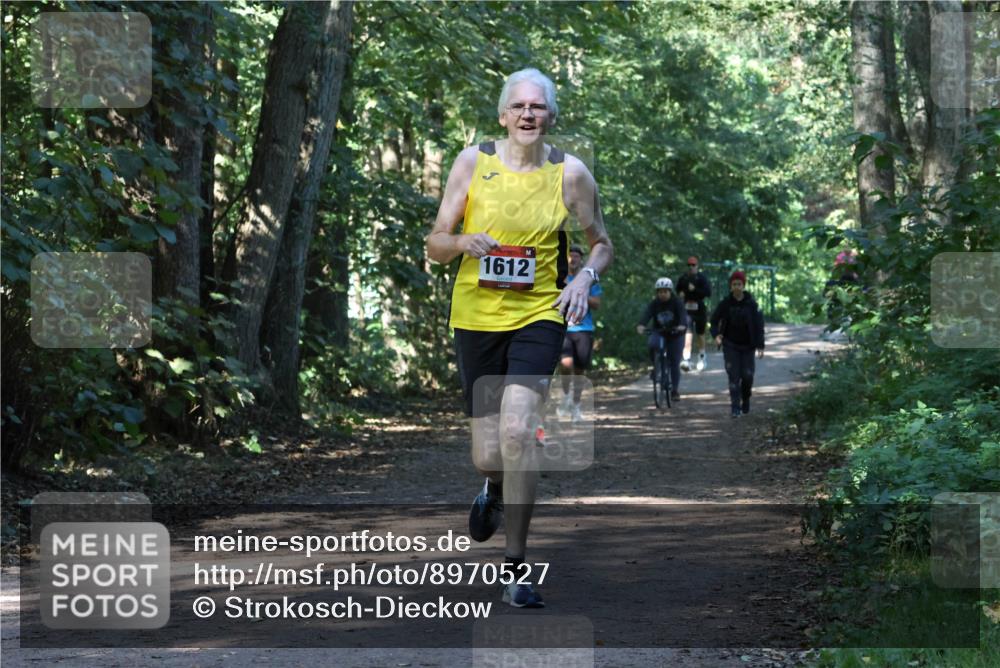 28.09.2025 - 33. Volkslauf durch das schöne Alstertal Strokosch-Dieckow http://msf.ph/oto/8970527 28.09.2025 11:53:56 Laufen 1612 meine-sportfotos.de