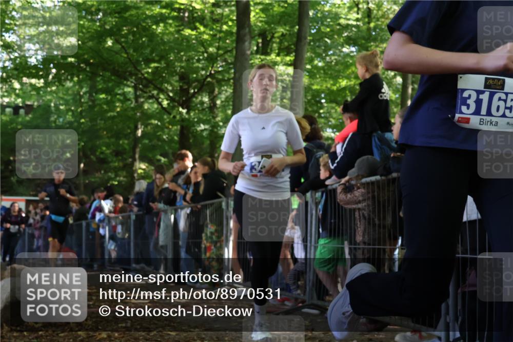 28.09.2025 - 33. Volkslauf durch das schöne Alstertal Strokosch-Dieckow http://msf.ph/oto/8970531 28.09.2025 11:51:51 Ziel 1602, 2651, 3137, 3164, 3165 meine-sportfotos.de