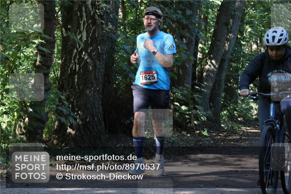 28.09.2025 - 33. Volkslauf durch das schöne Alstertal Strokosch-Dieckow http://msf.ph/oto/8970537 28.09.2025 11:54:05 Laufen 1625 meine-sportfotos.de